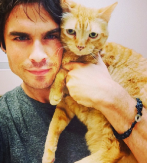 cute-celebrity-guys-with-cats-ian-somerhalder-6