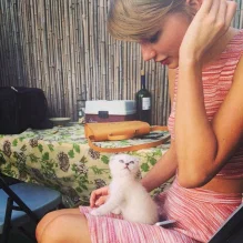 Pictures-Taylor-Swift-Cats