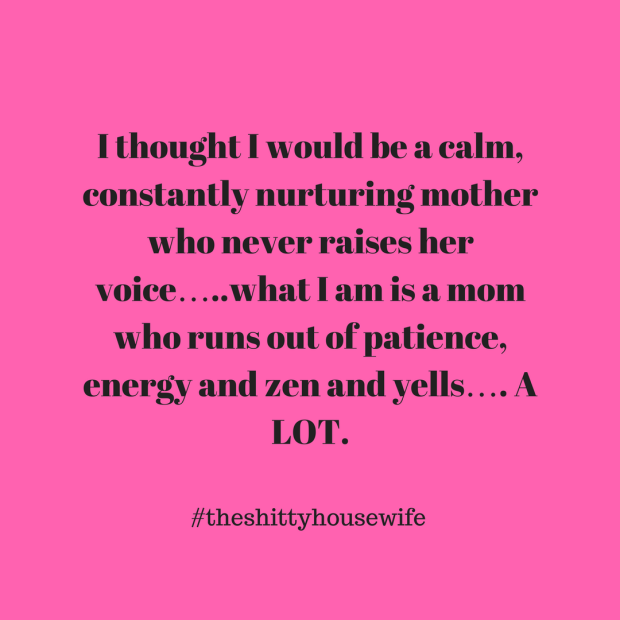 I thought I would be a calm, constantly nurturing mother who never raises her voice…..what I am is a mom who runs out of patie